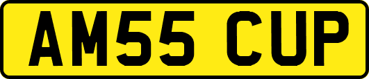 AM55CUP