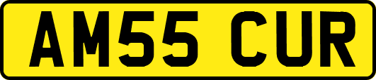 AM55CUR