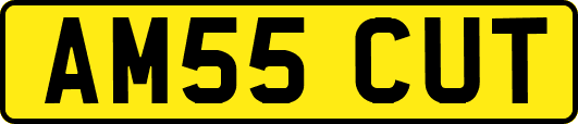 AM55CUT