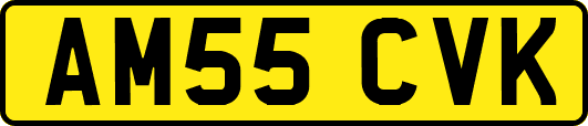 AM55CVK