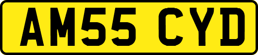 AM55CYD