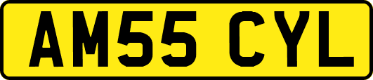 AM55CYL