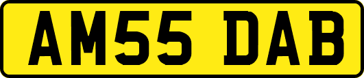 AM55DAB