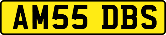 AM55DBS