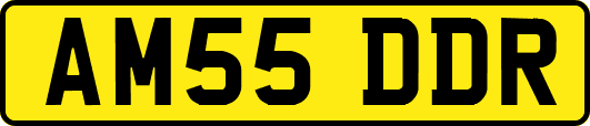 AM55DDR