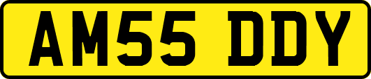 AM55DDY