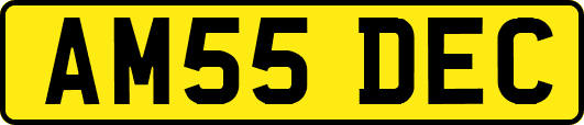 AM55DEC