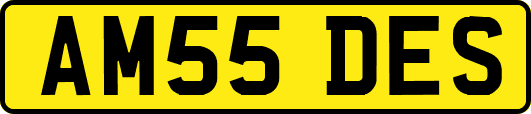AM55DES