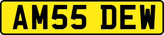 AM55DEW