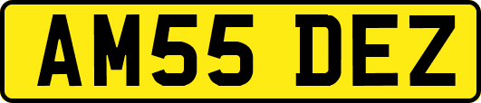 AM55DEZ