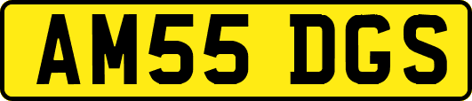 AM55DGS
