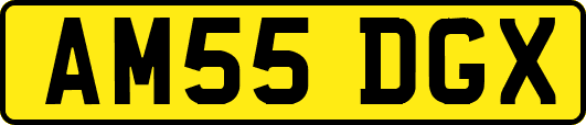 AM55DGX