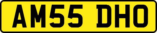 AM55DHO
