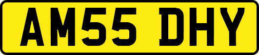 AM55DHY