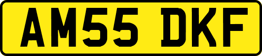 AM55DKF