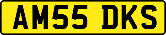 AM55DKS