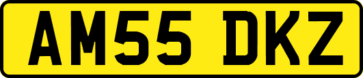 AM55DKZ