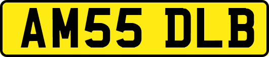 AM55DLB