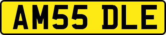 AM55DLE