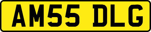 AM55DLG