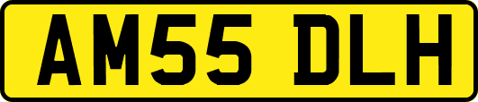 AM55DLH