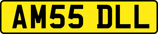 AM55DLL