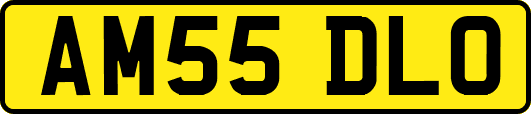 AM55DLO