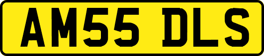 AM55DLS