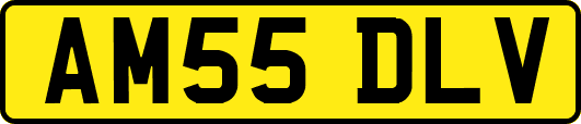 AM55DLV