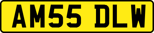 AM55DLW