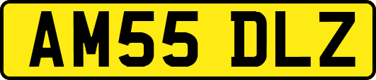 AM55DLZ