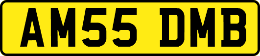 AM55DMB