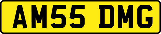 AM55DMG