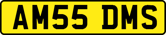 AM55DMS
