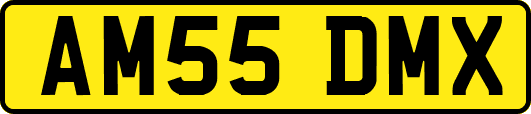 AM55DMX