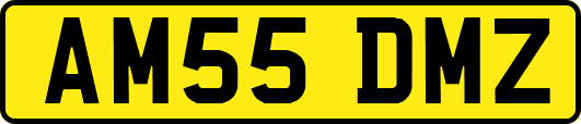 AM55DMZ