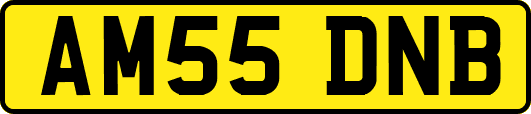 AM55DNB