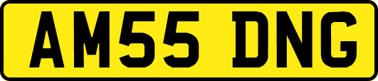 AM55DNG