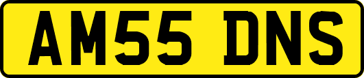 AM55DNS
