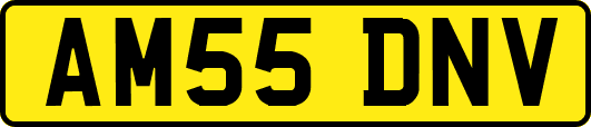 AM55DNV