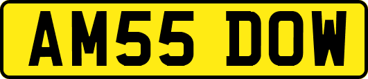 AM55DOW