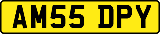 AM55DPY