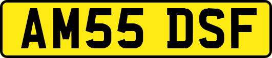 AM55DSF