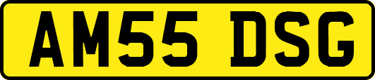 AM55DSG