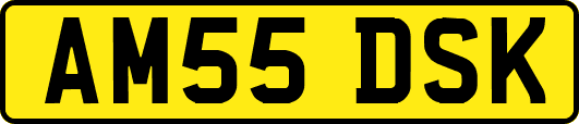 AM55DSK