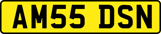 AM55DSN