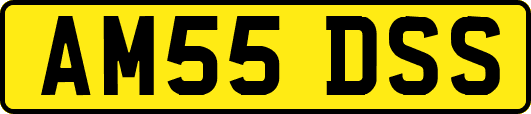 AM55DSS
