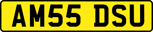 AM55DSU