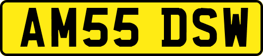 AM55DSW