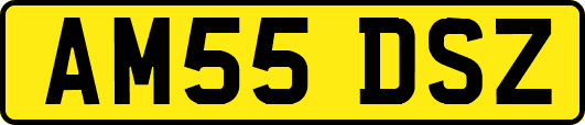 AM55DSZ